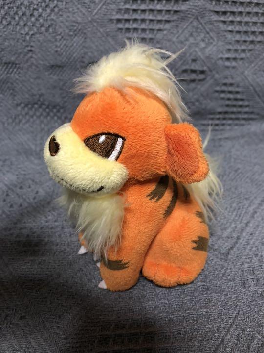 メルカリ ガーディ ポケモンセンターオリジナル ポケモンキャンバス ぬいぐるみ 1 800 中古や未使用のフリマ メルカリ ガーディ ポケモンセンターオリジナル ポケモンキャンバス ぬいぐるみ 1 800 中古や未使用のフリマ