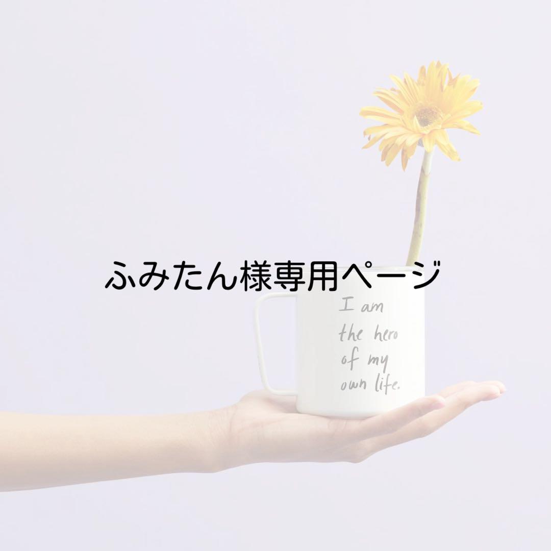 ふみたん