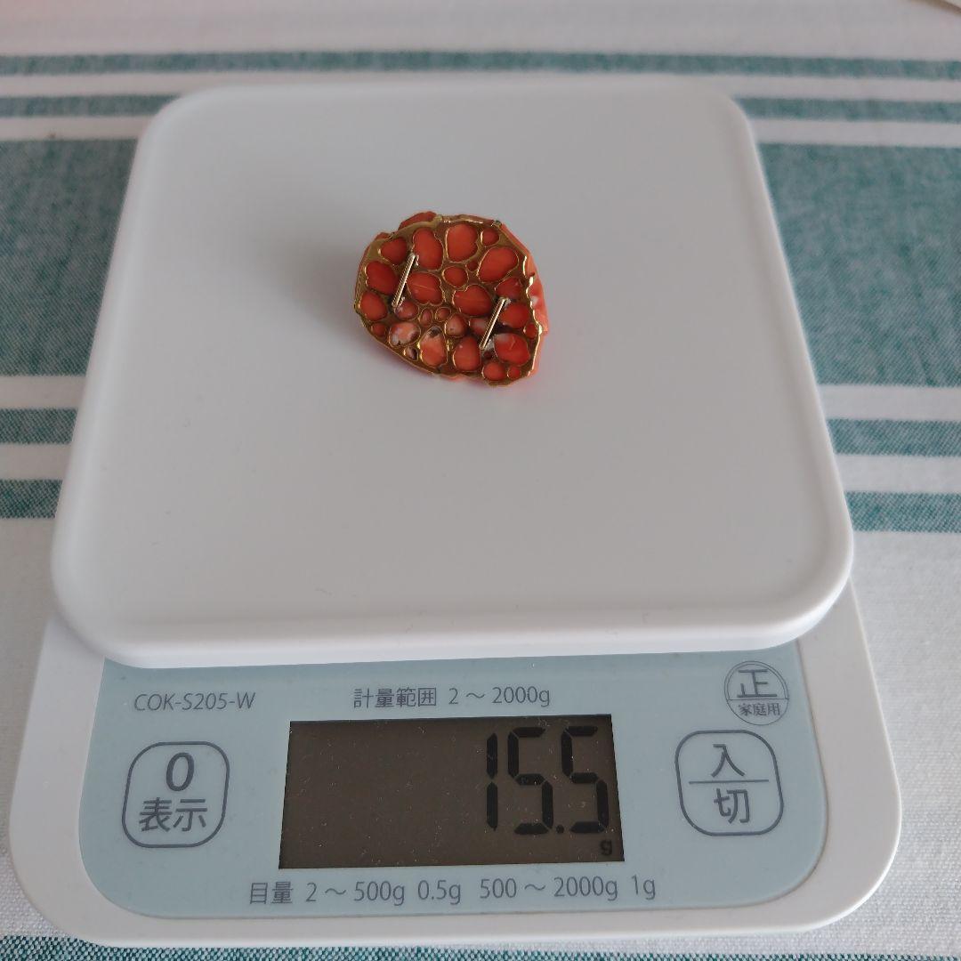 珊瑚根掛