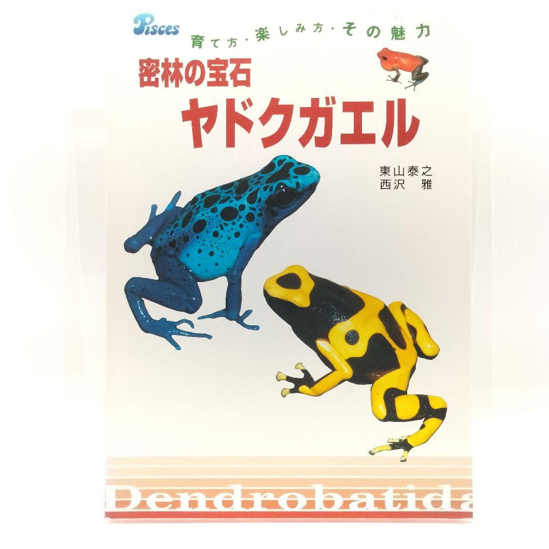 密林の宝石ヤドクガエル 育て方・楽しみ方・その魅力