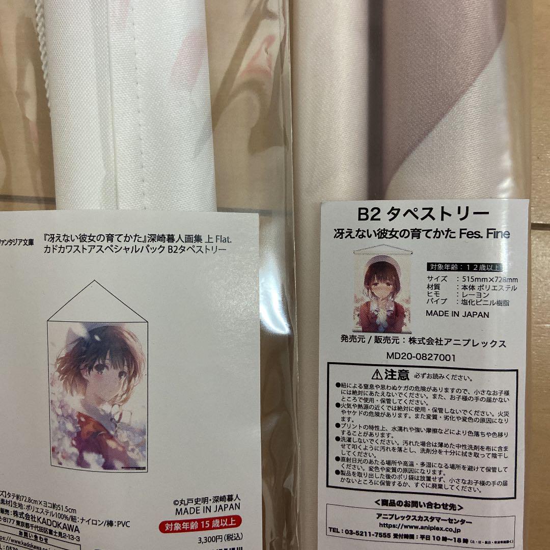 限定SALE得価 冴えない彼女の育てかた タペストリー wVyba-m35028872043 加藤恵 高品質安い