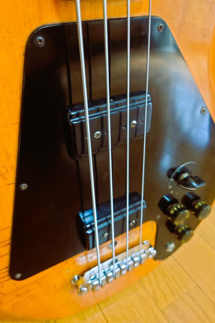 Gibson ギブソン L-9S RIPPER 74～75年製