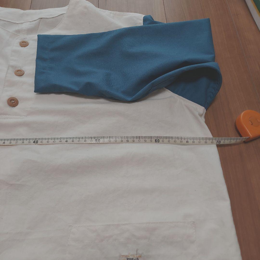 希少 6月入荷 10粒 ブルセラ アリダ ダークオレンジ 種子 種証明