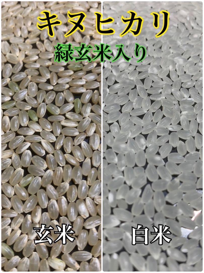 うさかめ様　お取り置き分　ラスト１袋