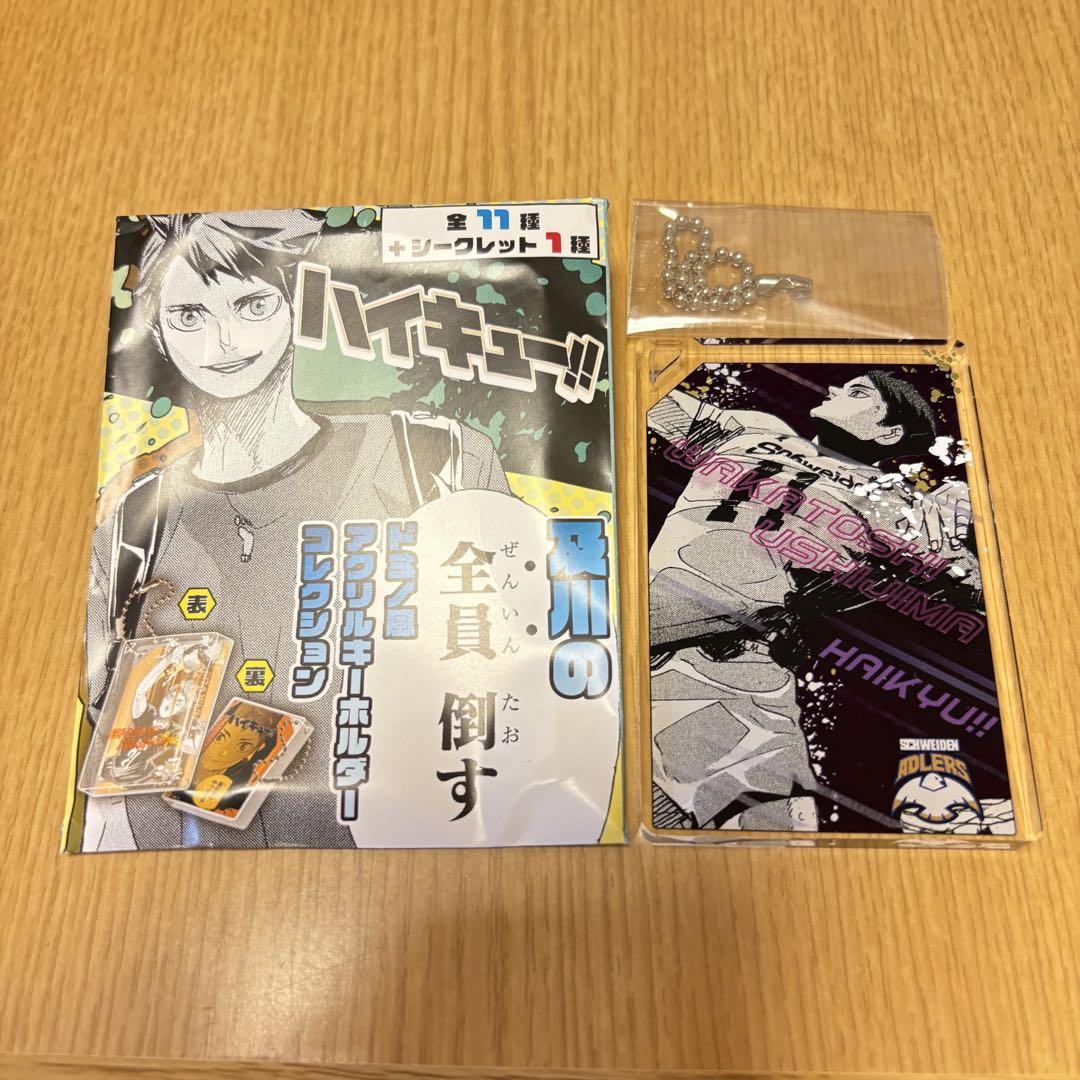 Amazon.co.jp: ハイキュー 及川の全員倒す ドミノ風 アクリル