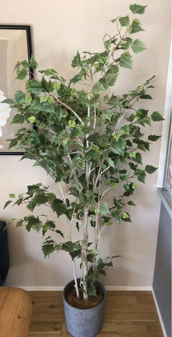 観葉樹　観葉植物　人工観葉樹