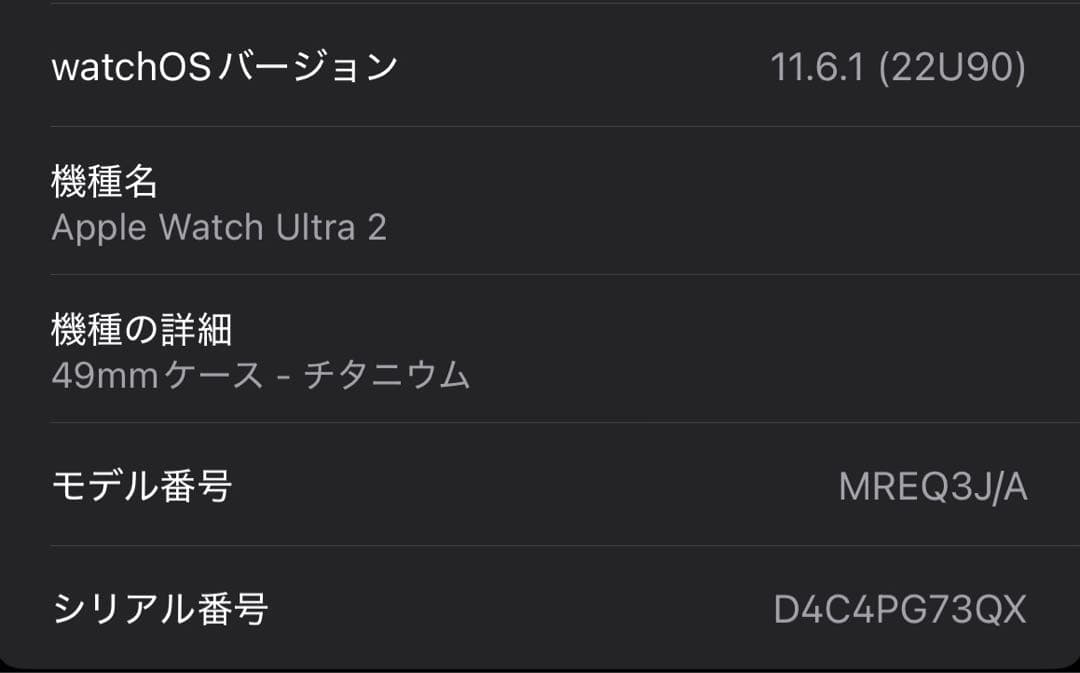 【美品】Apple Watch ultra2 本体　アルパインループ