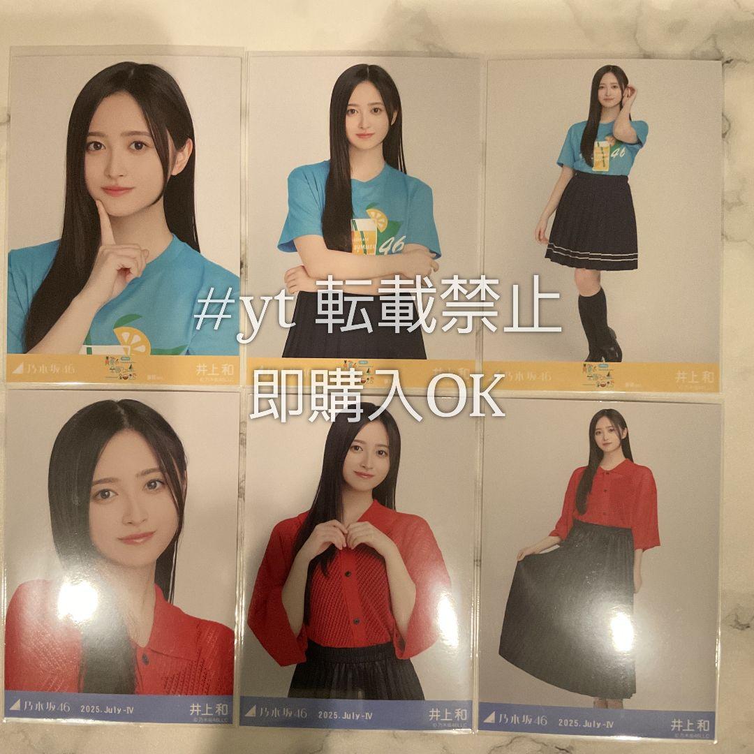 乃木坂46 井上和 静岡Tシャツ メッシュニット 6種コンプ 生写真