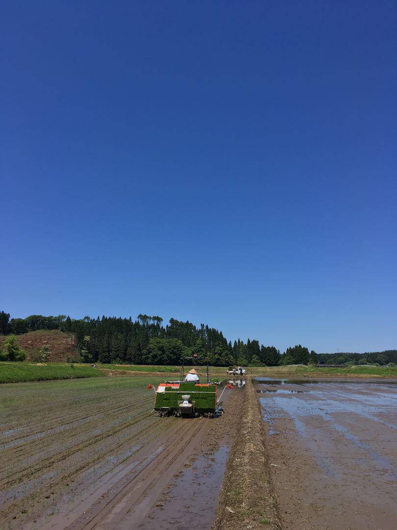 令和6秋田県産　あきたこまち　玄米20kg
