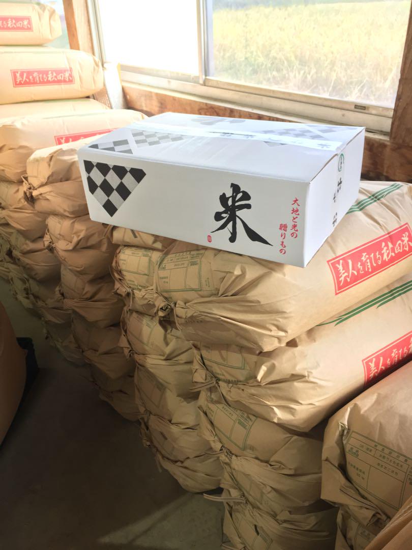 令和6秋田県産　あきたこまち　玄米20kg