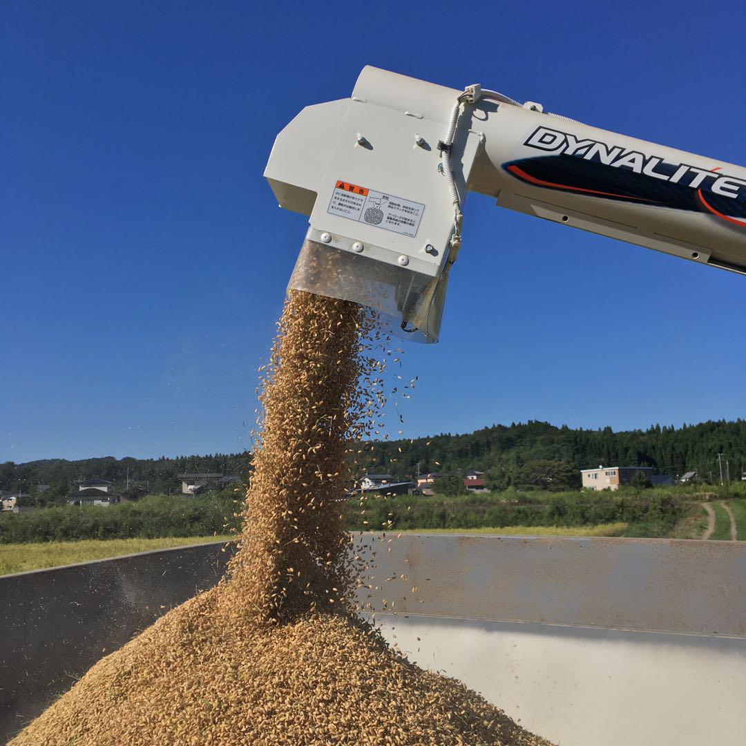 令和6秋田県産　あきたこまち　玄米20kg