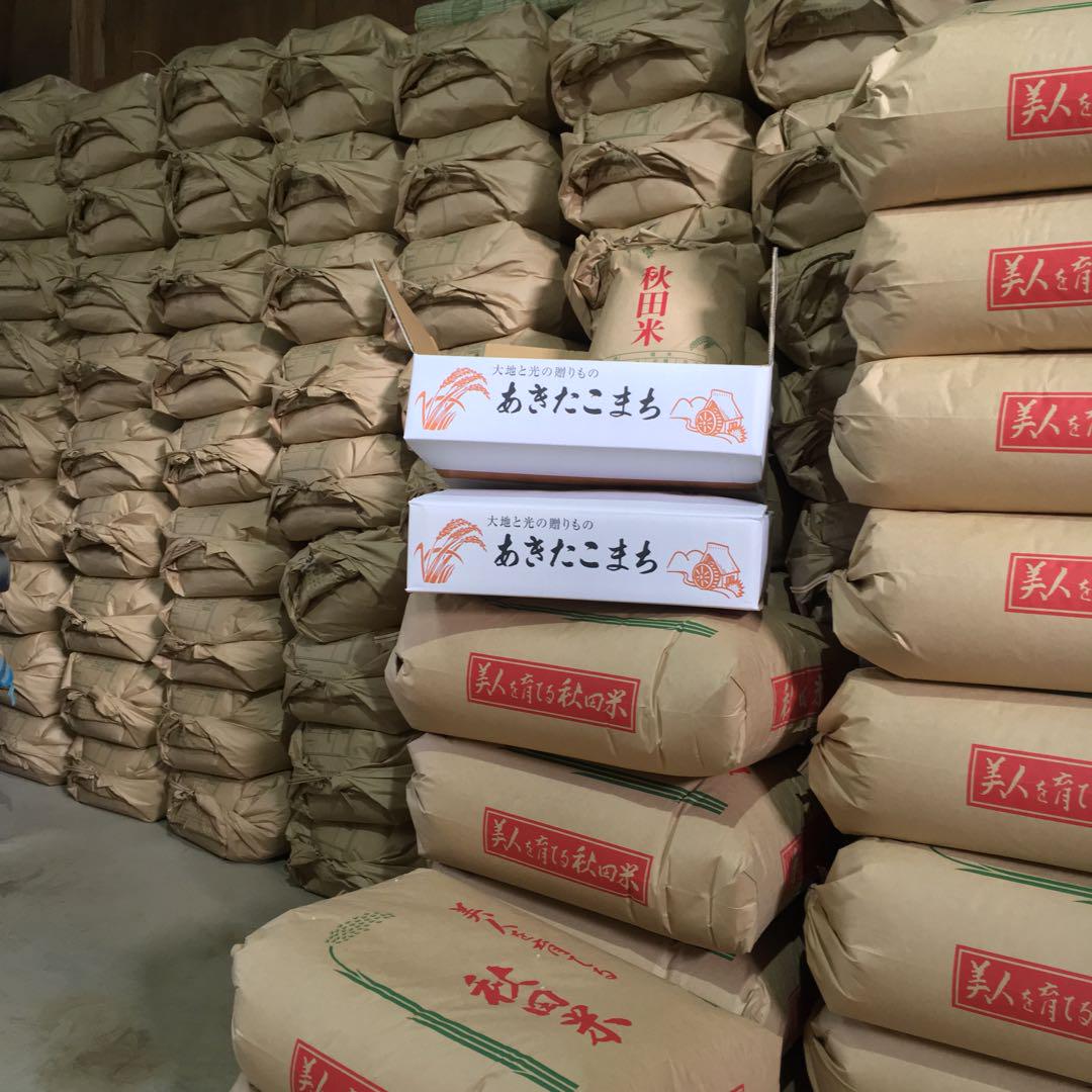 令和6秋田県産　あきたこまち　玄米20kg