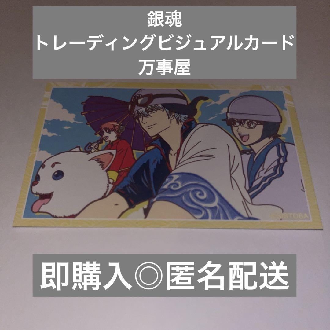 銀魂 トレーディングビジュアルカード 万事屋 坂田銀時 志村新八