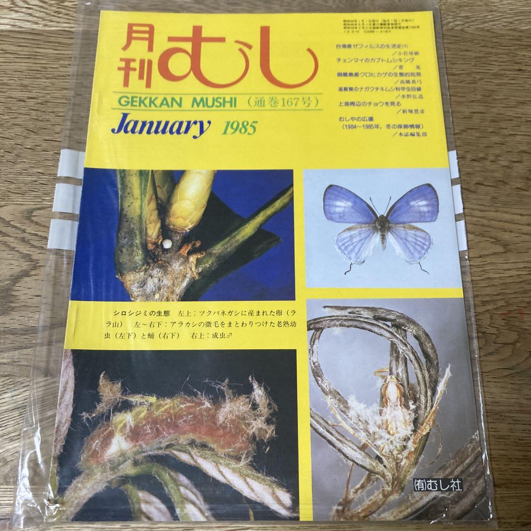 月刊むし 通巻167号(1985年1月号) - メルカリ
