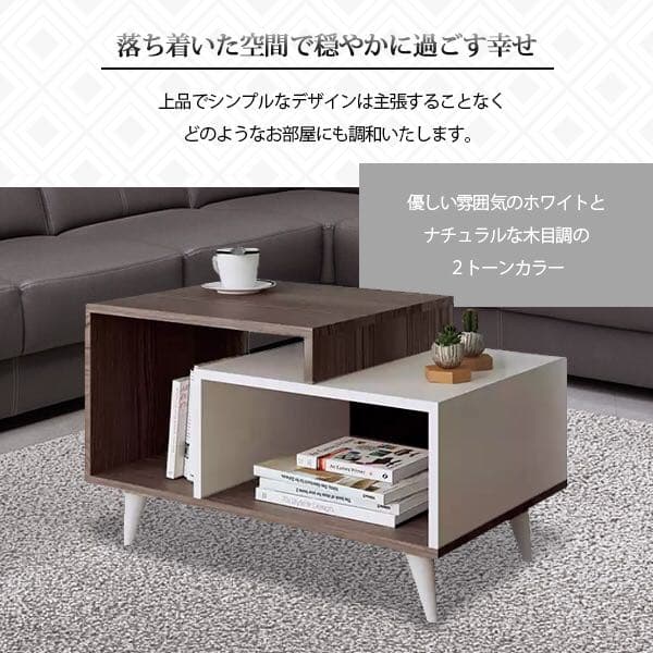 センターテーブル ローテーブル リビングテーブル シンプル 収納棚付き