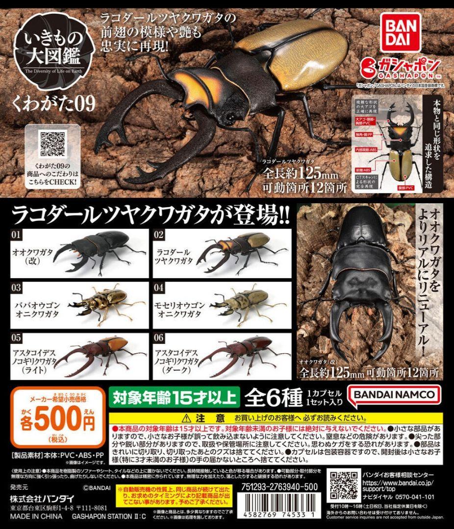 いきもの大図鑑 くわがた09 ババオウゴンオニクワガタ ガチャ ①