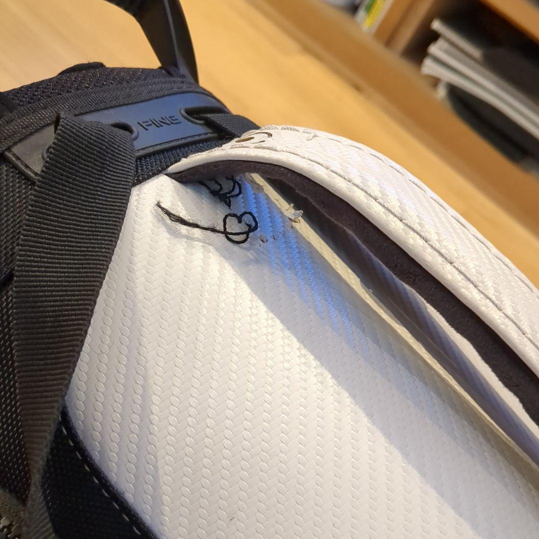PING HOOFER TOUR ゴルフバッグ (ヘッドカバー付き)