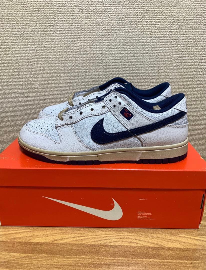 Stranger Things × Nike Dunk Low Phantom27cm NIKE SB