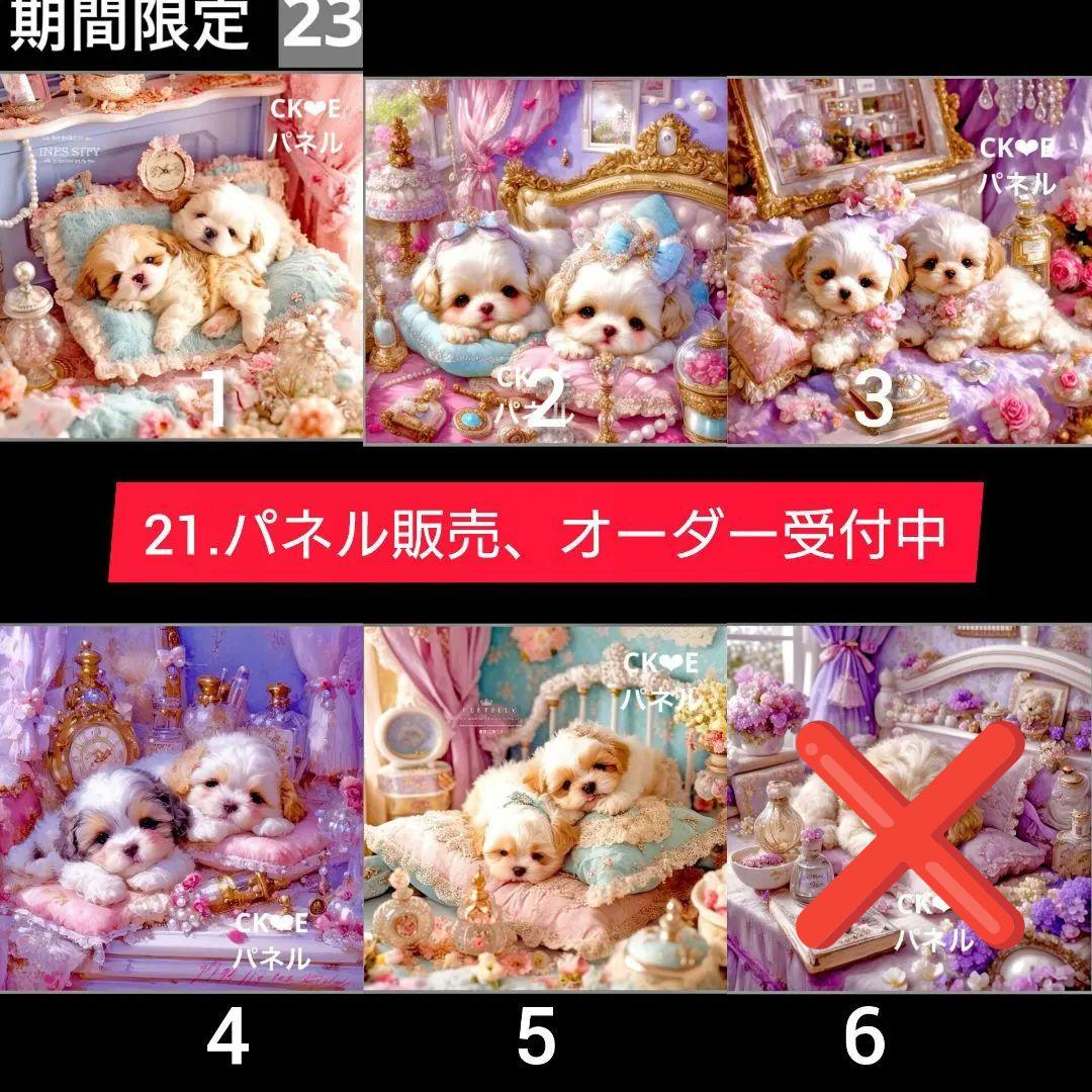 21.パネル生地販売& 〜シーズー