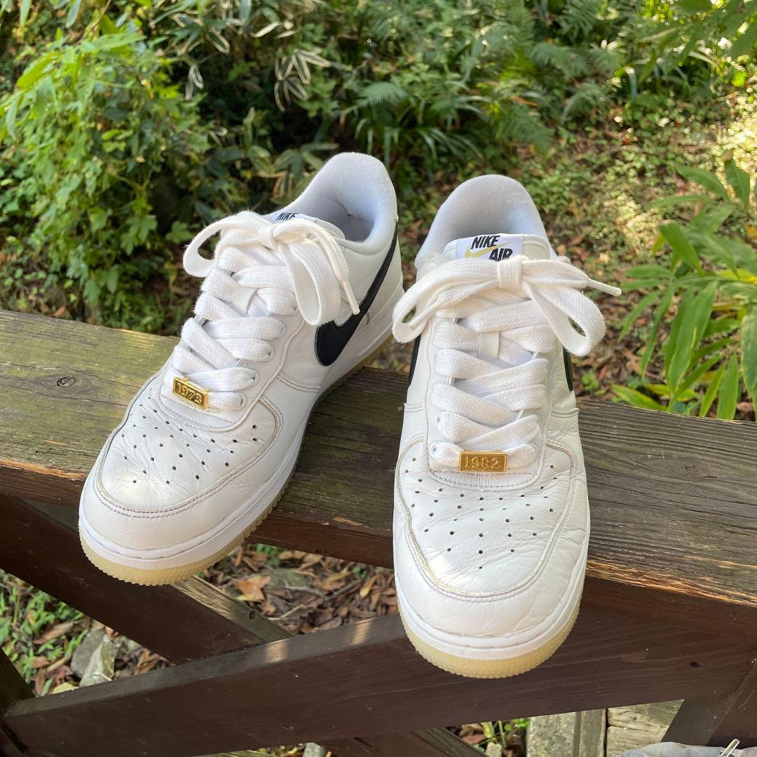 ナイキスニーカーAir Force 1 ブロンクス27.5㎝27.5cm NIKE