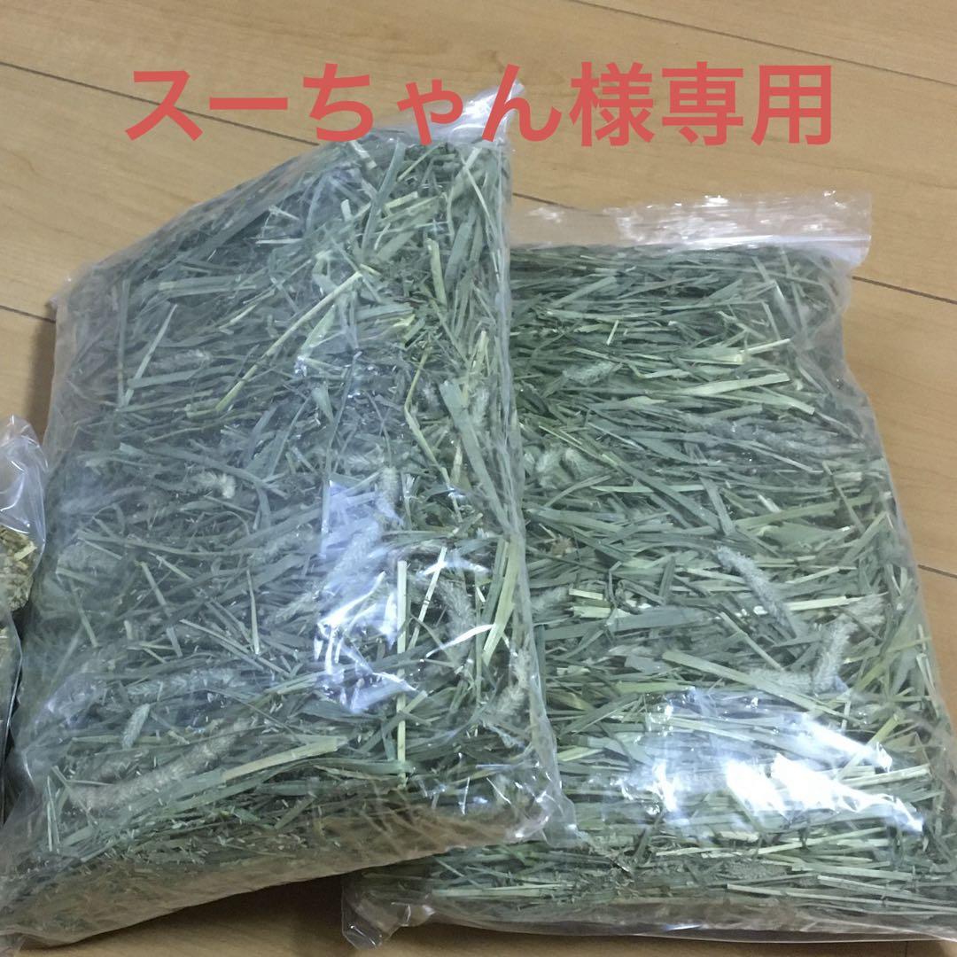 スーちゃん様専用。チモシー２番草6キロ