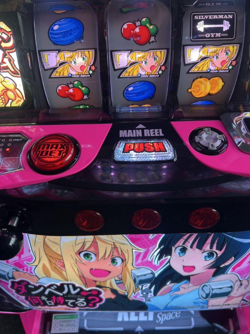 家庭用改造済み　スマスロ　Lダンベル何キロ持てる？X 送料込み