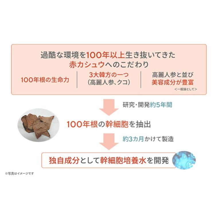 サイムダンプレミアムファーストクラスパーフェクトリッチクリーム2個セット