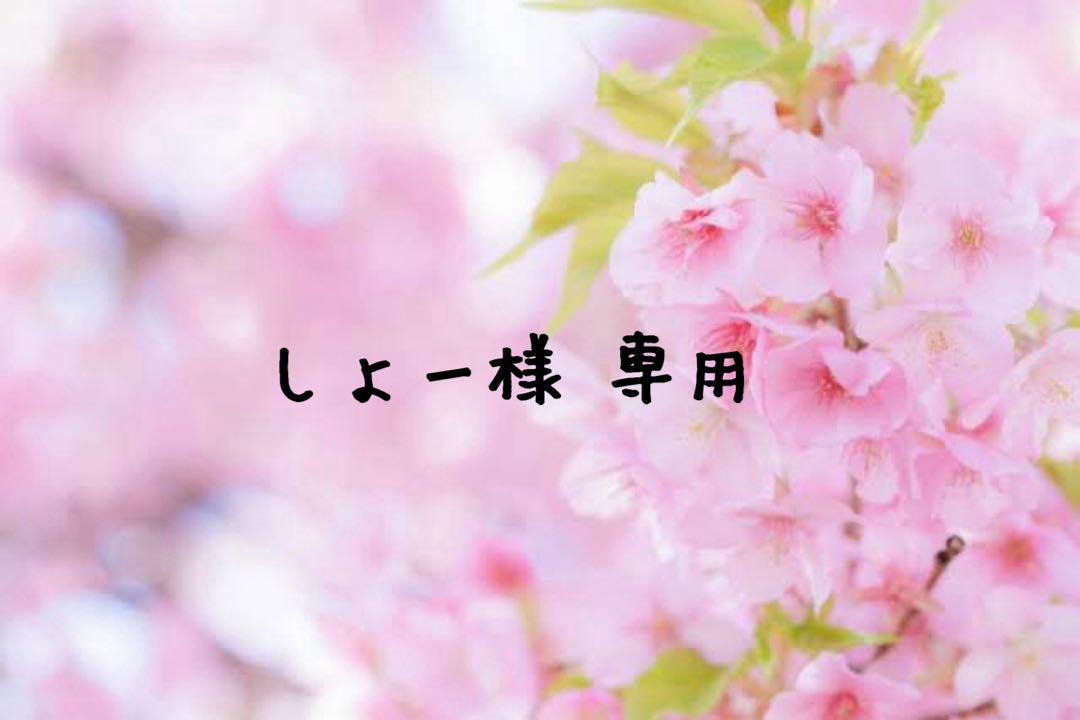 専用ページ