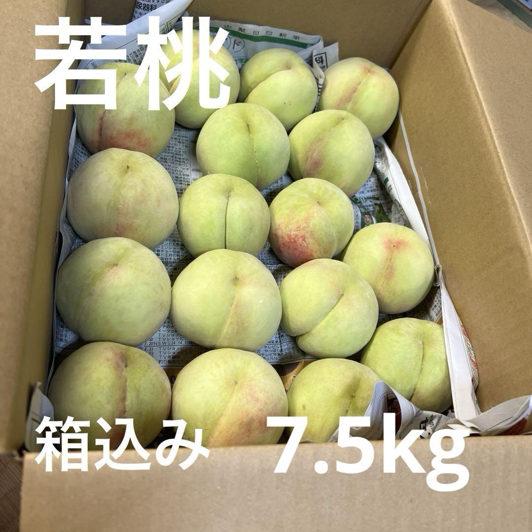 ㉑若桃 山梨県産 硬い桃