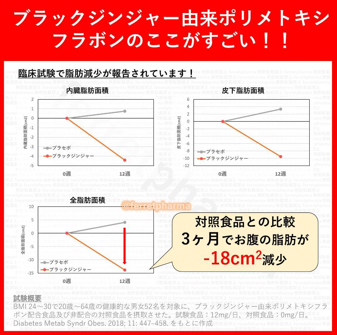 【残り6袋】 機能性表示食品 イコリス スラミー 60粒 30日分×6袋