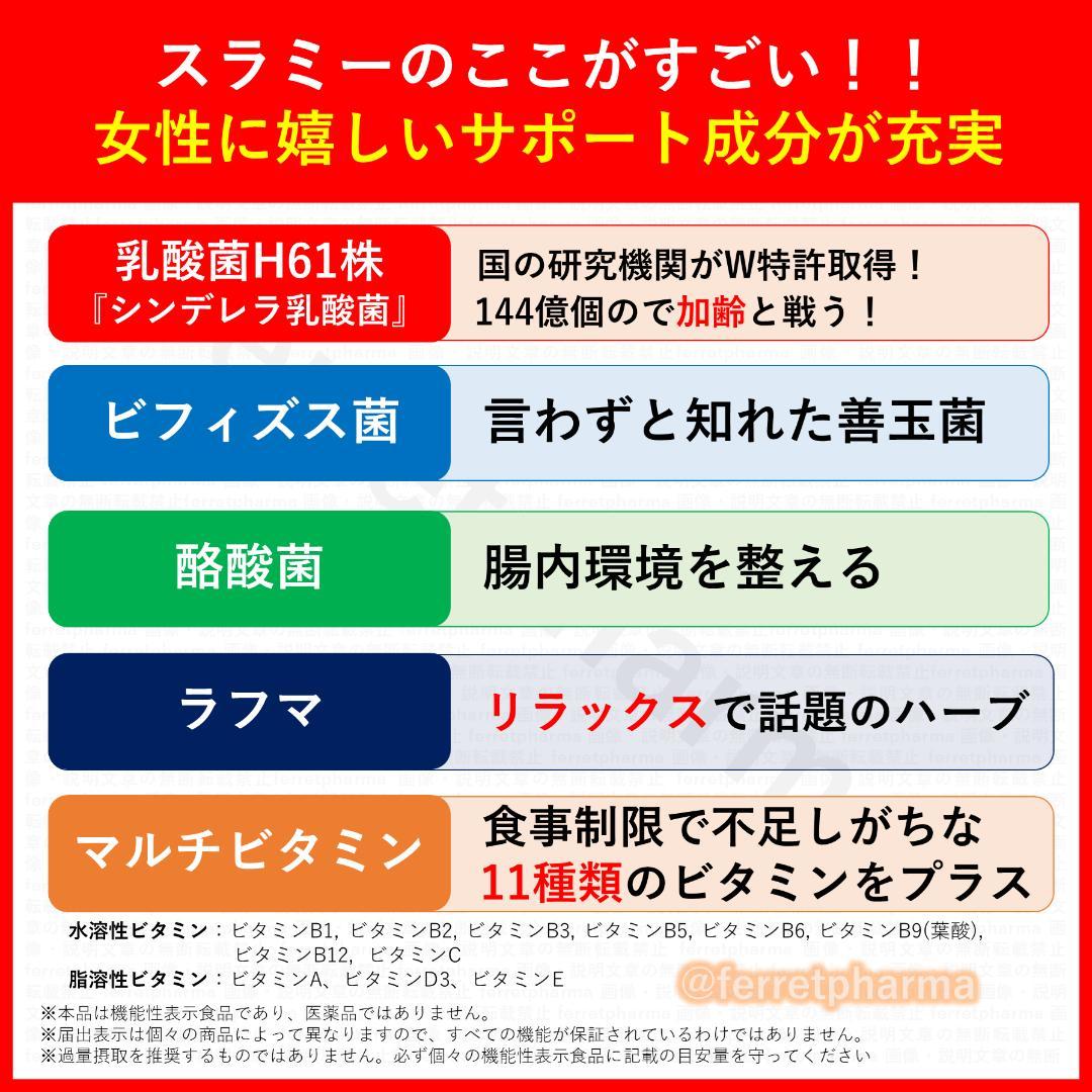 【残り6袋】 機能性表示食品 イコリス スラミー 60粒 30日分×6袋