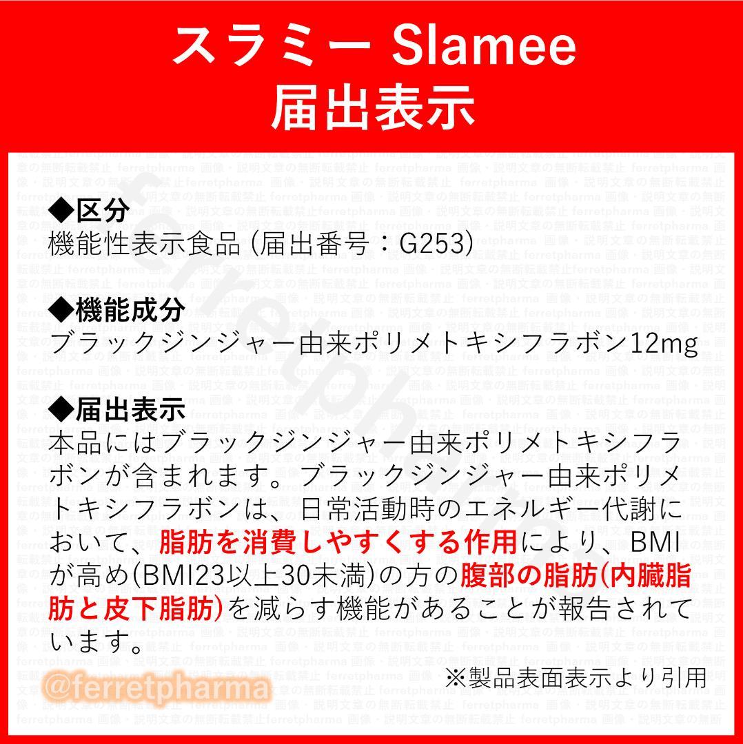 【残り6袋】 機能性表示食品 イコリス スラミー 60粒 30日分×6袋