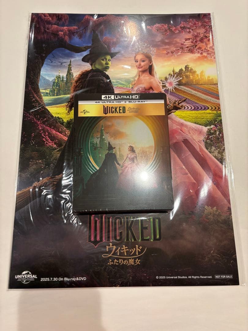 ウィキッド ふたりの魔女 Amazon スチールブック