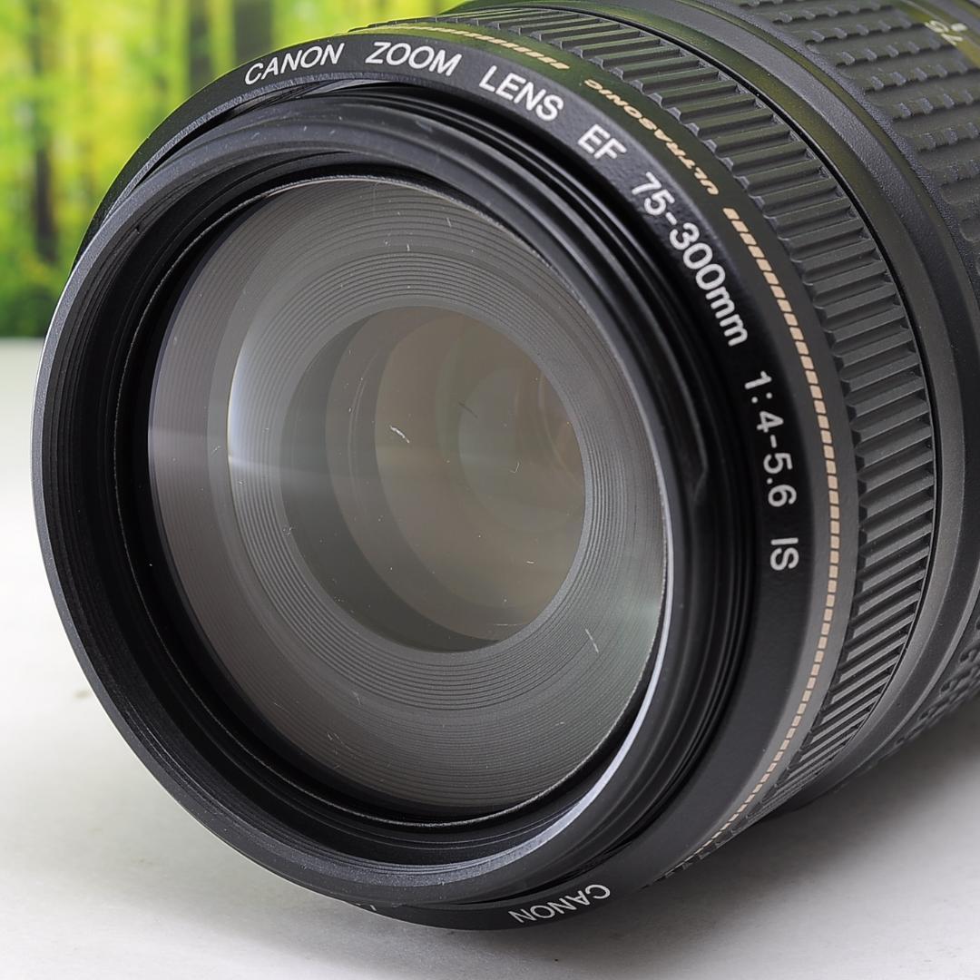 キヤノンEFマウント最終決算 Canon EF 75-300mm☆手振れ補正付き超望遠レンズ☆2790 レンズ(ズーム) 家電・スマホ・カメラ キヤノンEFマウント¥11,254-www.sembramedia.org キヤノンEFマウント最終決算 Canon EF 75-300mm☆手振れ補正付き超望遠レンズ☆2790 レンズ(ズーム) 家電・スマホ・カメラ キヤノンEFマウント¥11,254-www.sembramedia.org