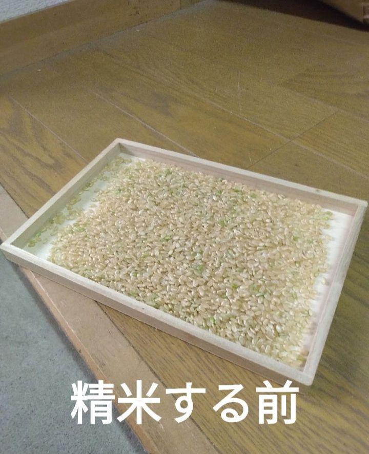 京都産 コシヒカリ 新米30㎏