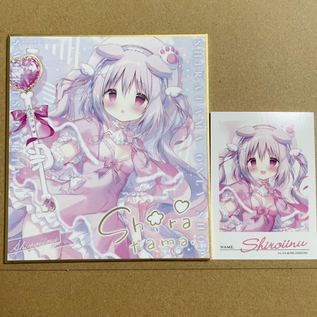 しらたま オンリーショップ 看板娘 ミニ色紙 カード 魔法少女