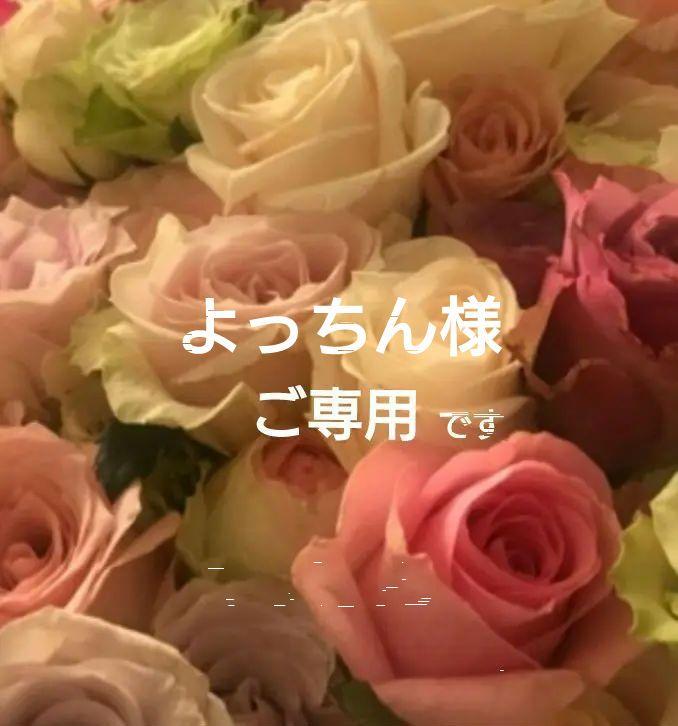 トゥービーシック　50 ワンピース