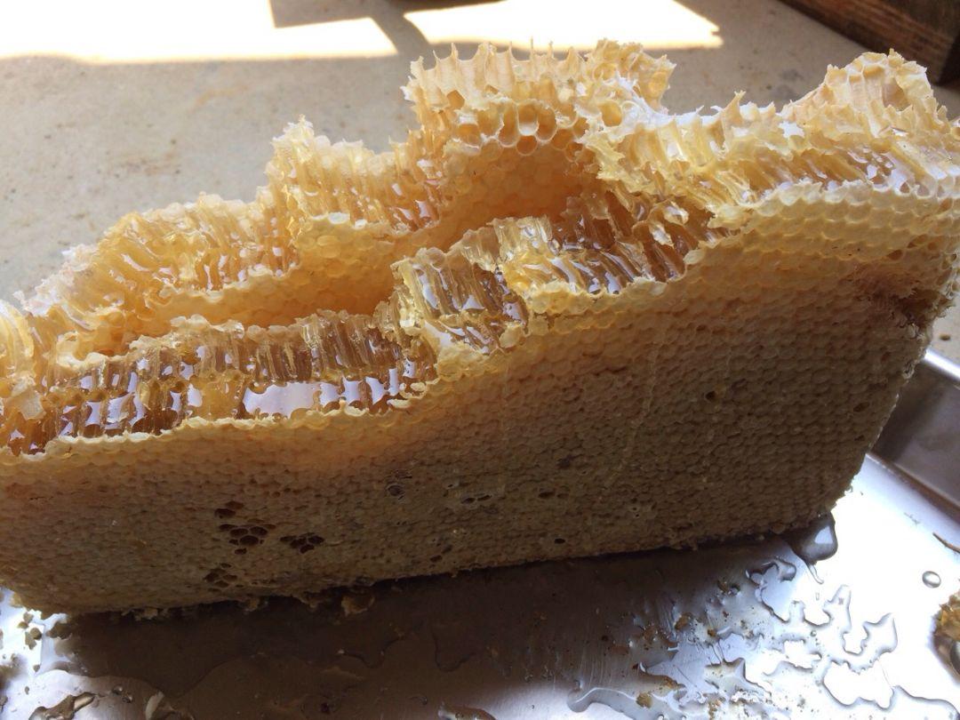日本ミツバチの生はちみつ     200g×４本   (８００g)