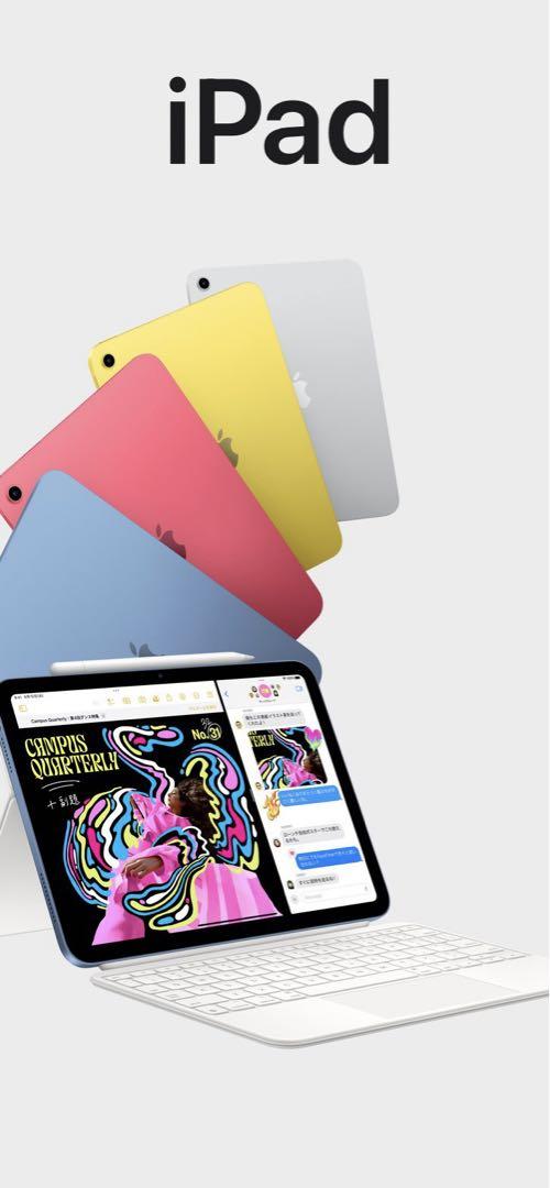iPad Pro 第2世代 256GB 液晶漏れあり iPad本体