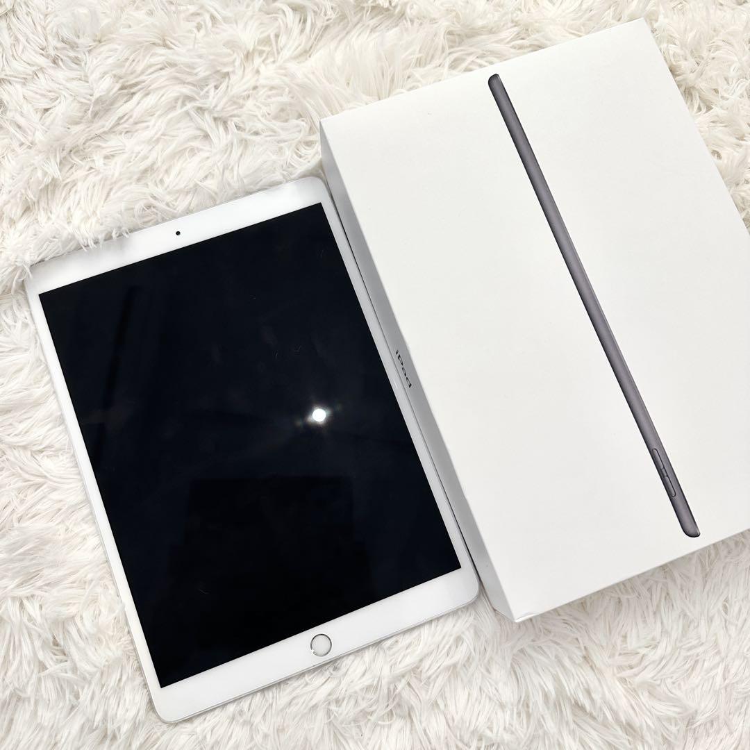 iPad Pro 10.5インチ 第1世代 256GB Wi-Fiモデル