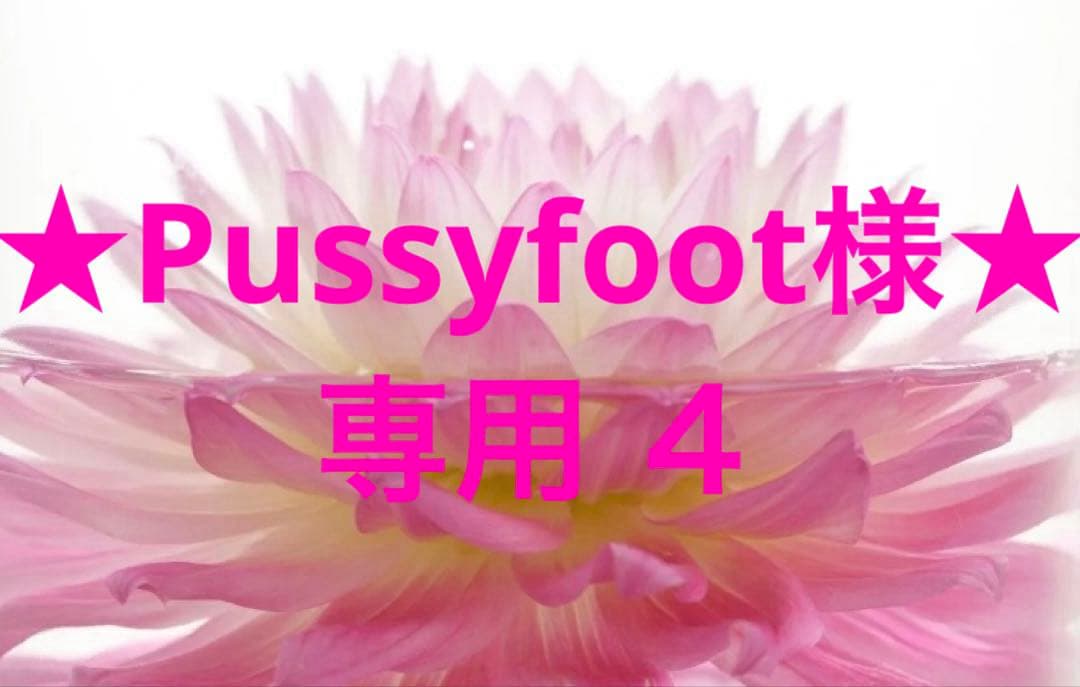 ★Pussyfoot様★専用 ４