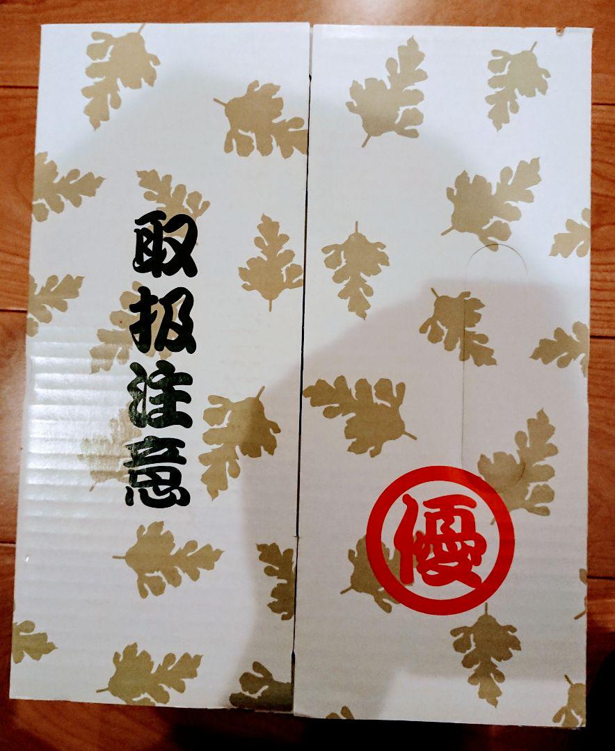 新品・匿名配送】スイカヘルメット2 フリーサイズ 出川哲郎の