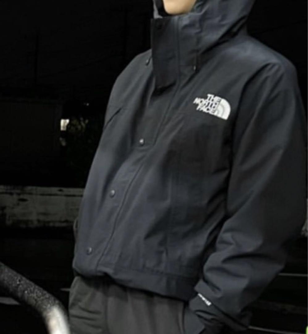 THE NORTH FACE GORE-TEX マウンテンライトジャケット