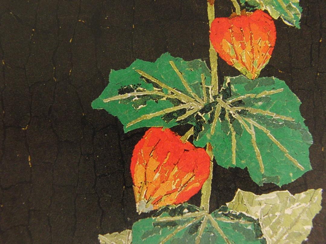 山下清、【ホウズキ】、希少な額装用画集より、美品、日本人画家、新品額装付