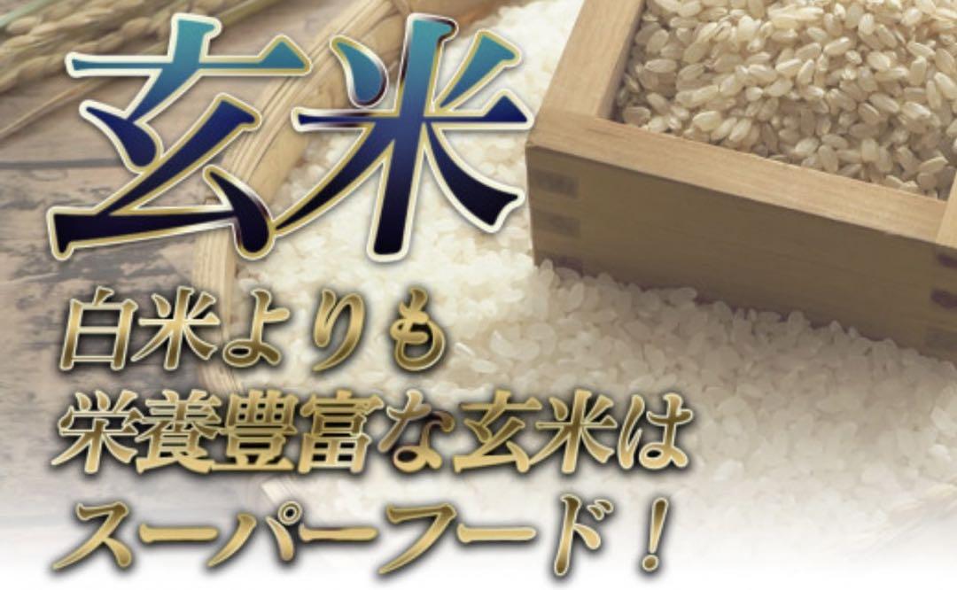 お米　新米【岩手県産玄米銀河のしずく30kg 】   6年連続特A！