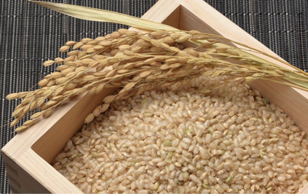 お米　新米【岩手県産玄米銀河のしずく30kg 】   6年連続特A！