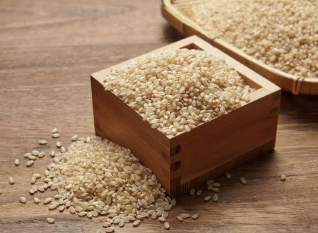 お米　新米【岩手県産玄米銀河のしずく30kg 】   6年連続特A！