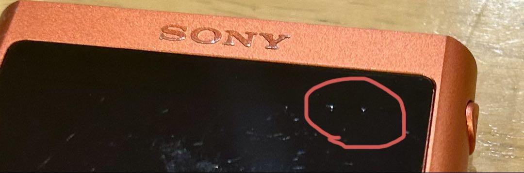 SONY NW-A55 ウォークマンA50シリーズ