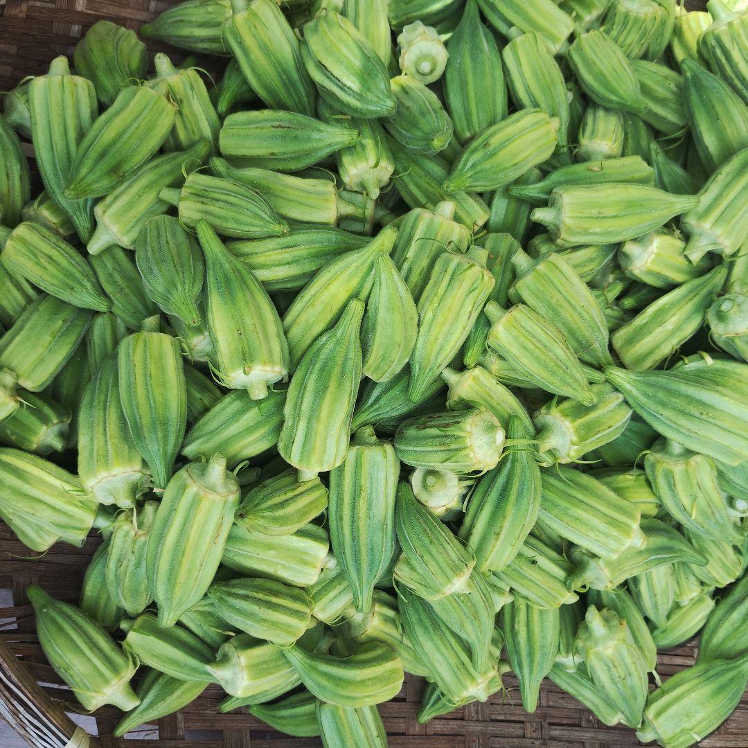 オクラ