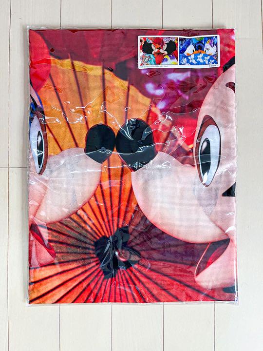 ディズニー イマジニングザマジック 実写 バスタオル